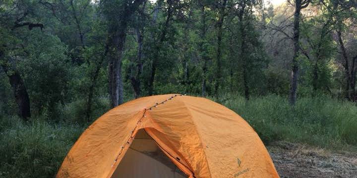 Camper submitted image from Moccasin Point Campground