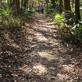 Review photo of Blue Hole Campground — Florida Caverns State Park by Brenda S., May 2, 2018