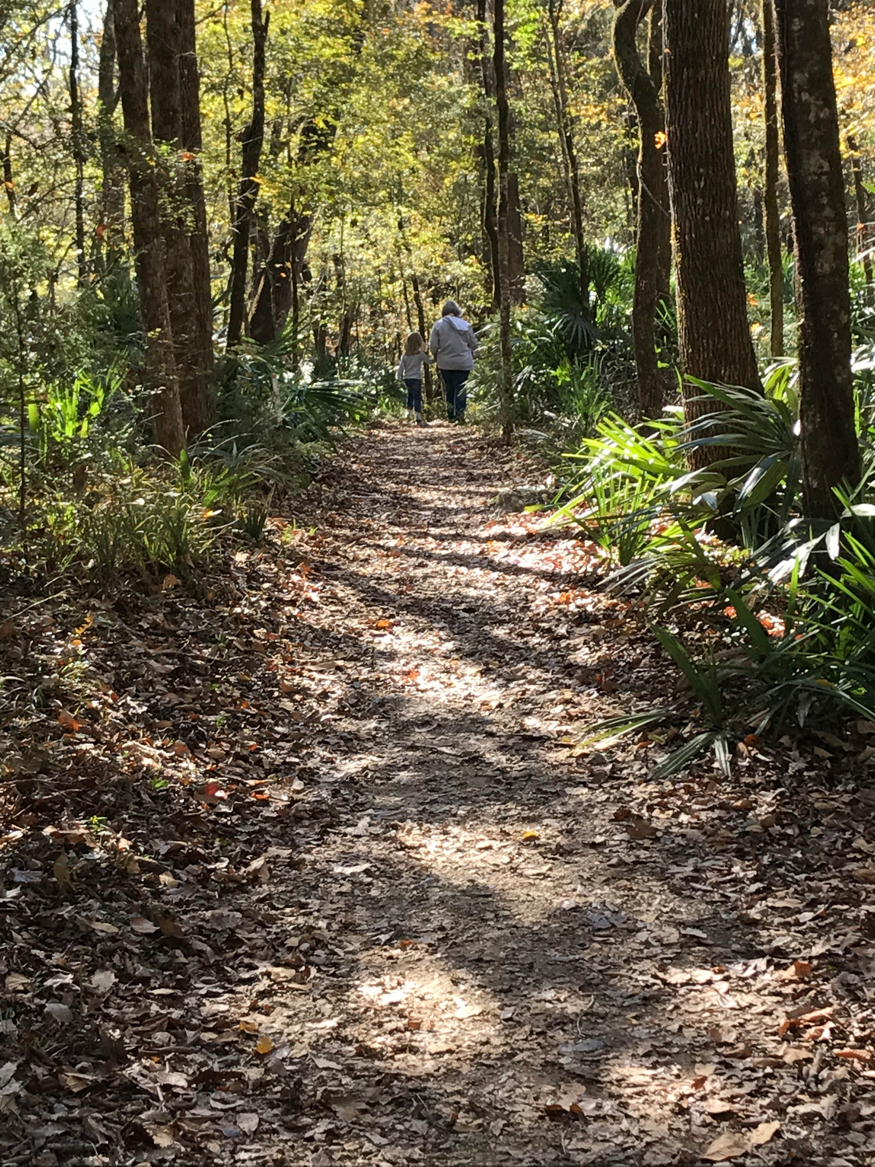 Camper submitted image from Blue Hole Campground — Florida Caverns State Park - 5