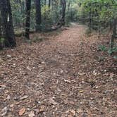 Review photo of Blue Hole Campground — Florida Caverns State Park by Brenda S., May 2, 2018