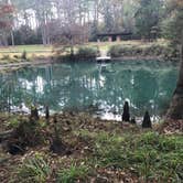 Review photo of Blue Hole Campground — Florida Caverns State Park by Brenda S., May 2, 2018