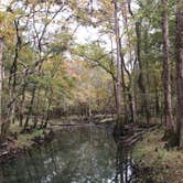 Review photo of Blue Hole Campground — Florida Caverns State Park by Brenda S., May 2, 2018