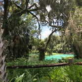 Review photo of Rainbow Springs State Park Campground by Brenda S., May 2, 2018