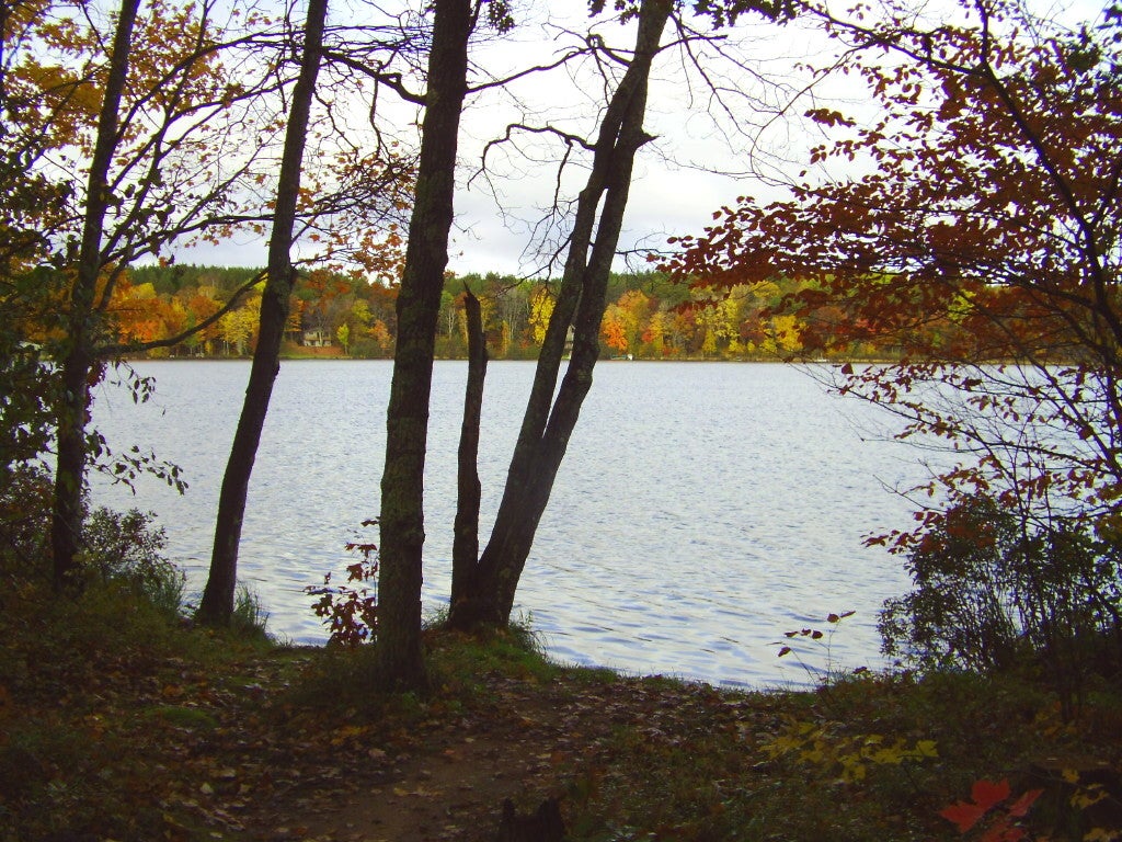 Camper submitted image from East Bass Lake Park - 1