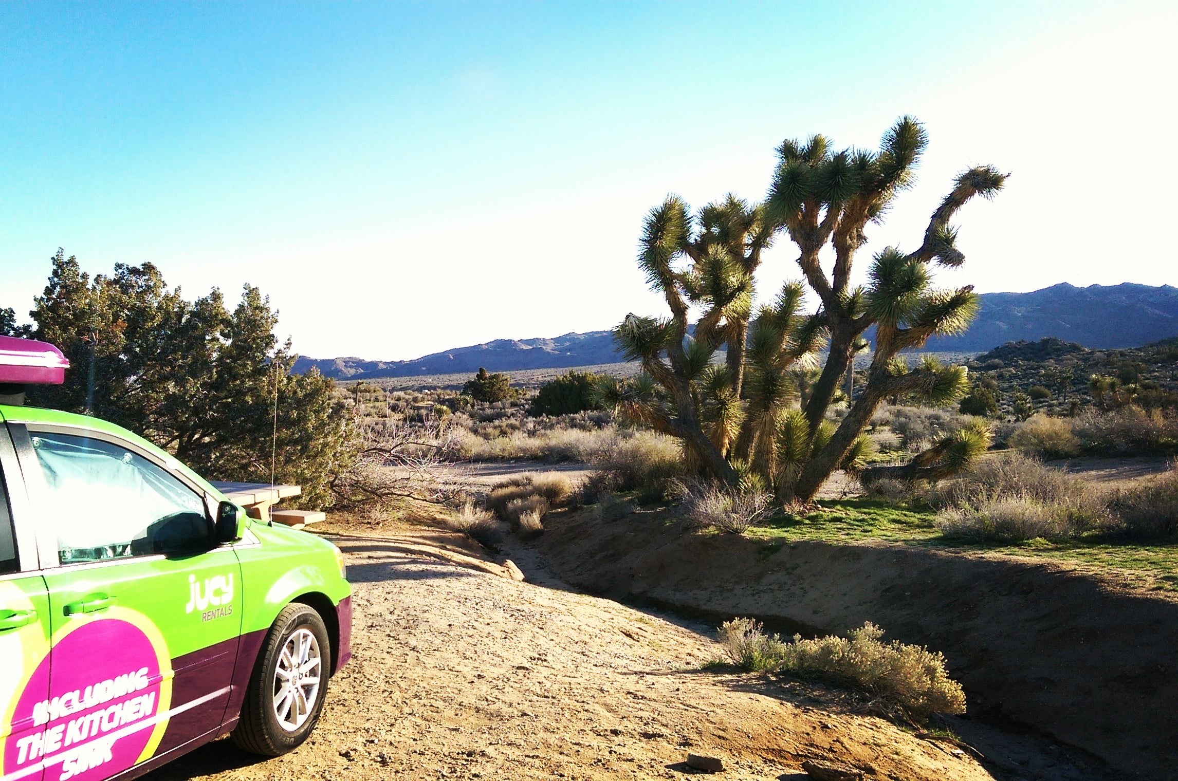 Camper submitted image from Black Rock Campground — Joshua Tree National Park - 3