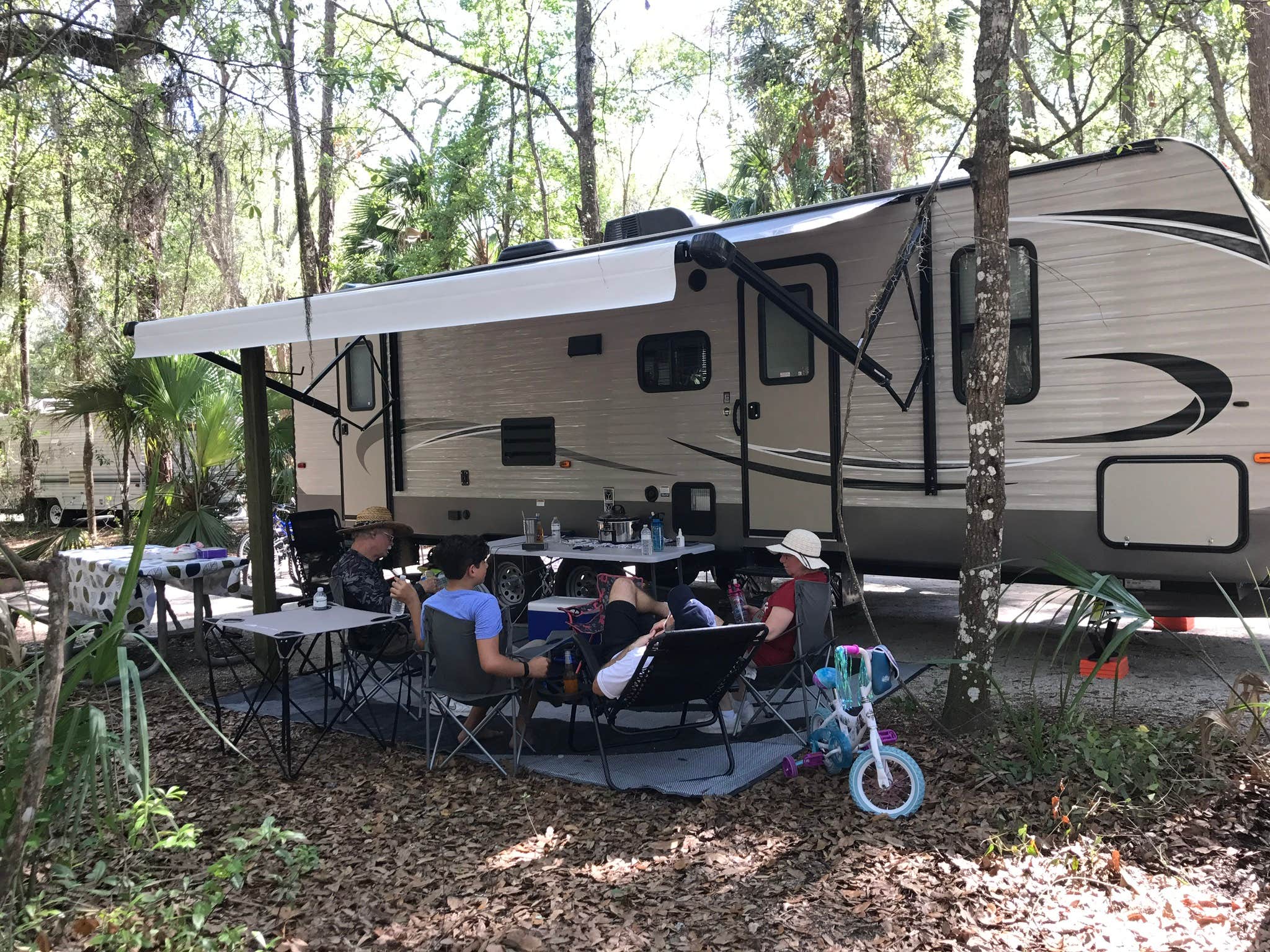 Camper submitted image from Paynes Prairie Preserve State Park Campground - 4