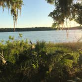 Review photo of Paynes Prairie Preserve State Park Campground by Brenda S., May 3, 2018