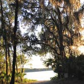 Review photo of Paynes Prairie Preserve State Park Campground by Brenda S., May 3, 2018