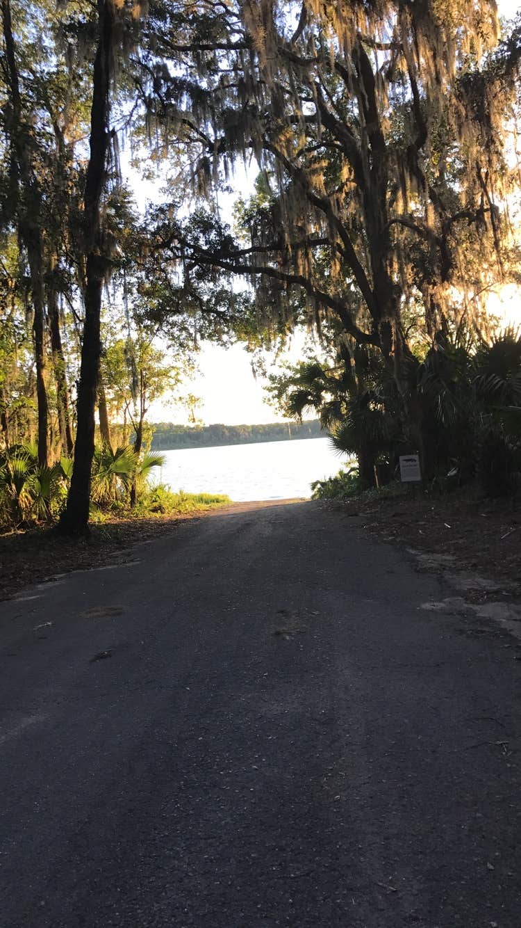 Camper submitted image from Paynes Prairie Preserve State Park Campground - 5