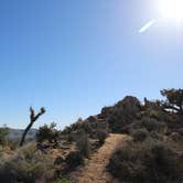 Review photo of Black Rock Campground — Joshua Tree National Park by Elliott B., July 5, 2016