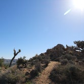 Review photo of Black Rock Equestrian Campground - Joshua Tree by Elliott B., July 5, 2016