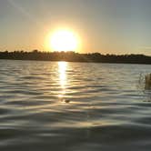 Review photo of Paynes Prairie Preserve State Park Campground by Brenda S., May 3, 2018