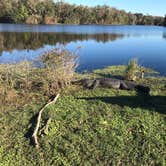 Review photo of Paynes Prairie Preserve State Park Campground by Brenda S., May 3, 2018