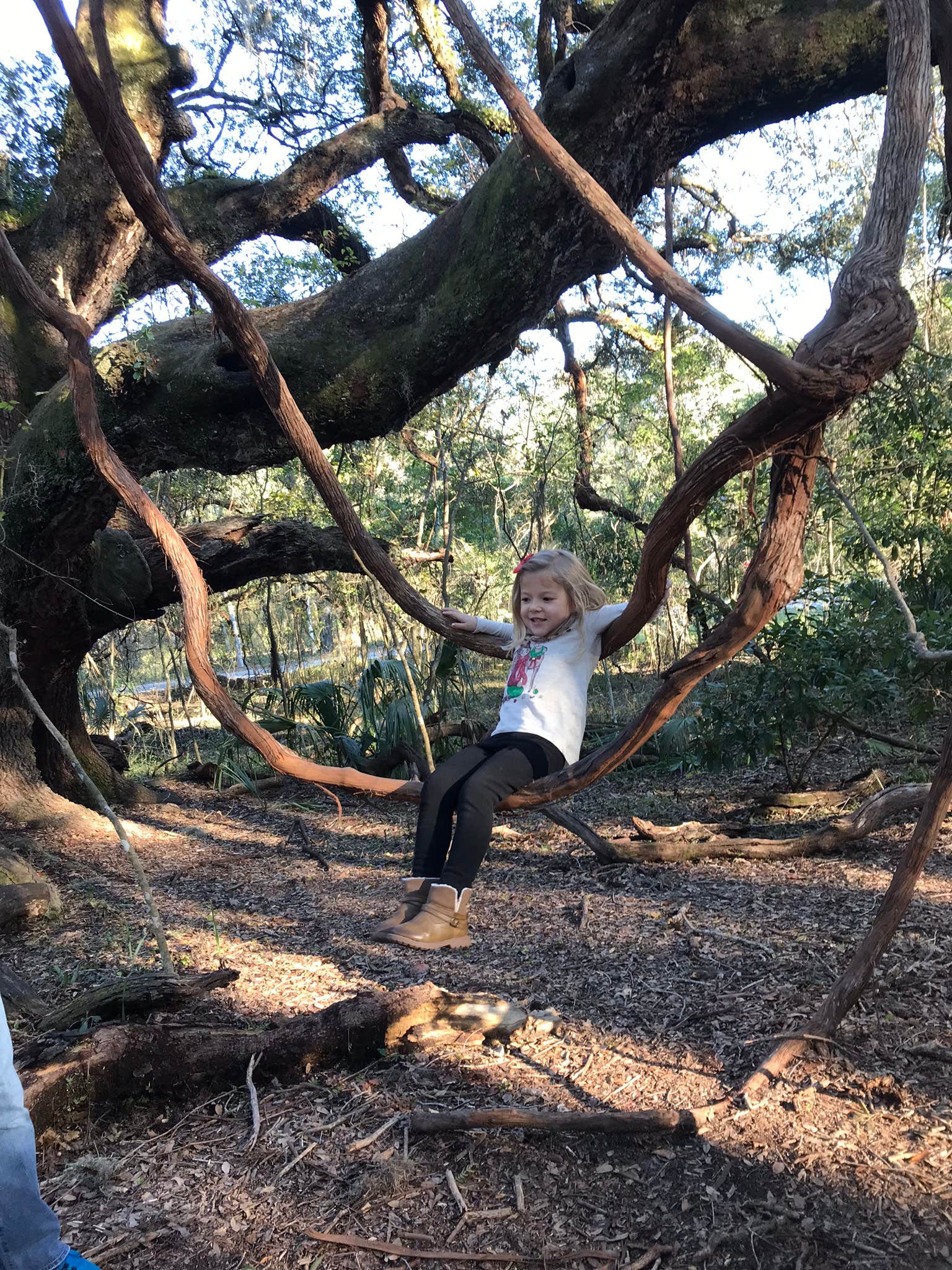 Camper-submitted photo at Paynes Prairie Preserve State Park Campground near Reddick, FL