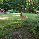 Review photo of Presque Isle - Porcupine Mountains State Park by Art S., July 5, 2016