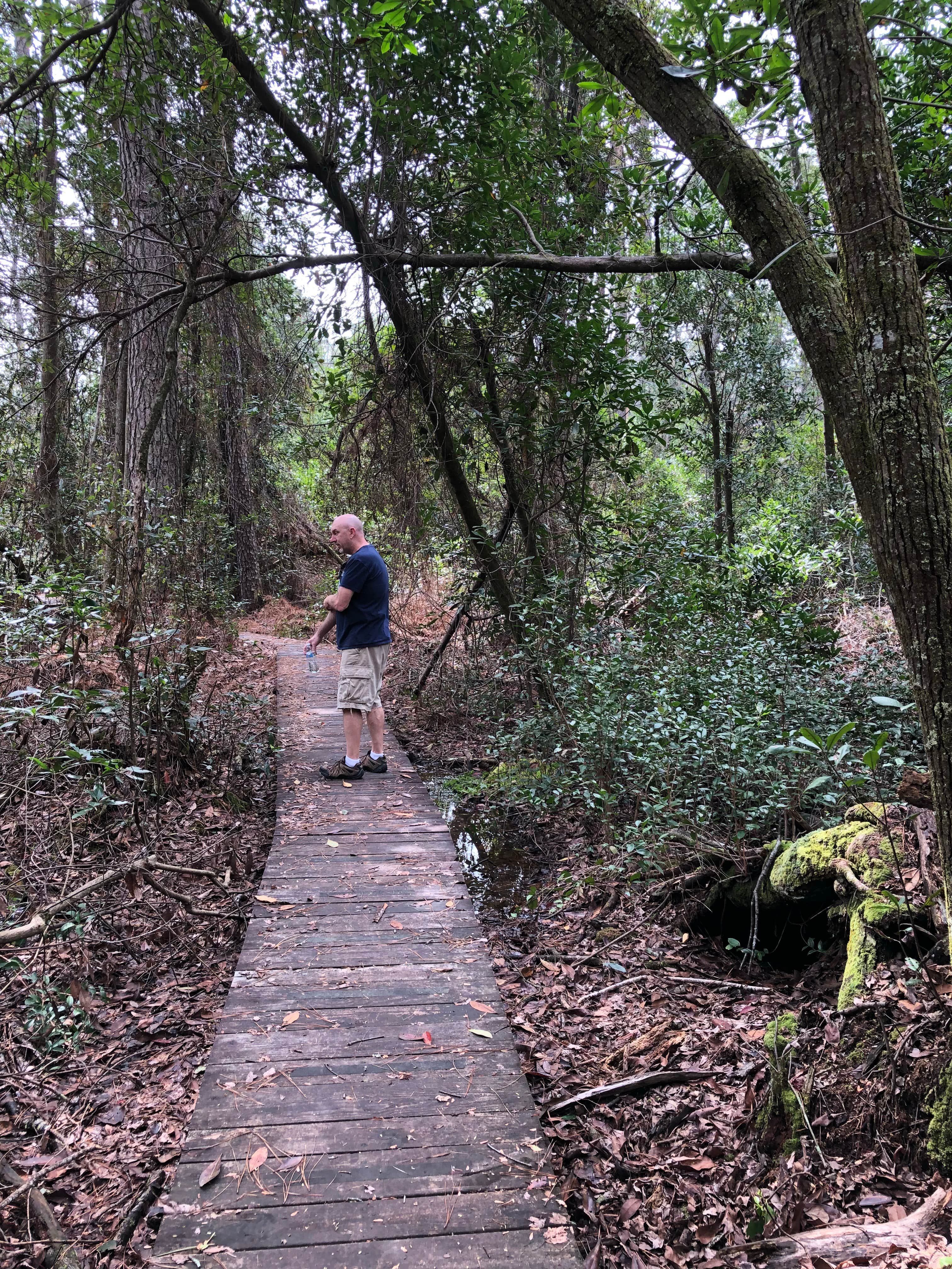 Camper submitted image from Aiken State Park Campground - 3