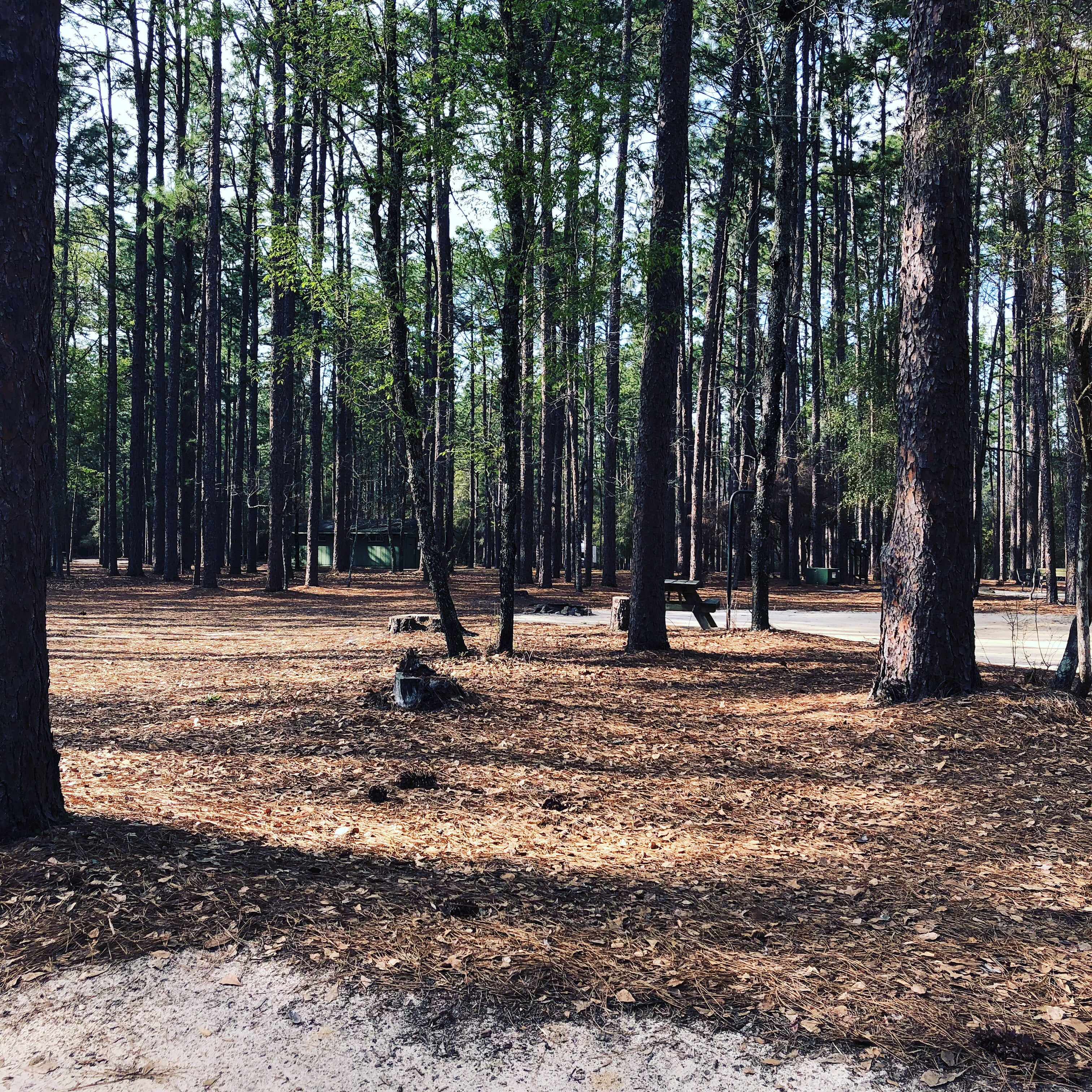 Camper submitted image from Aiken State Park Campground - 2