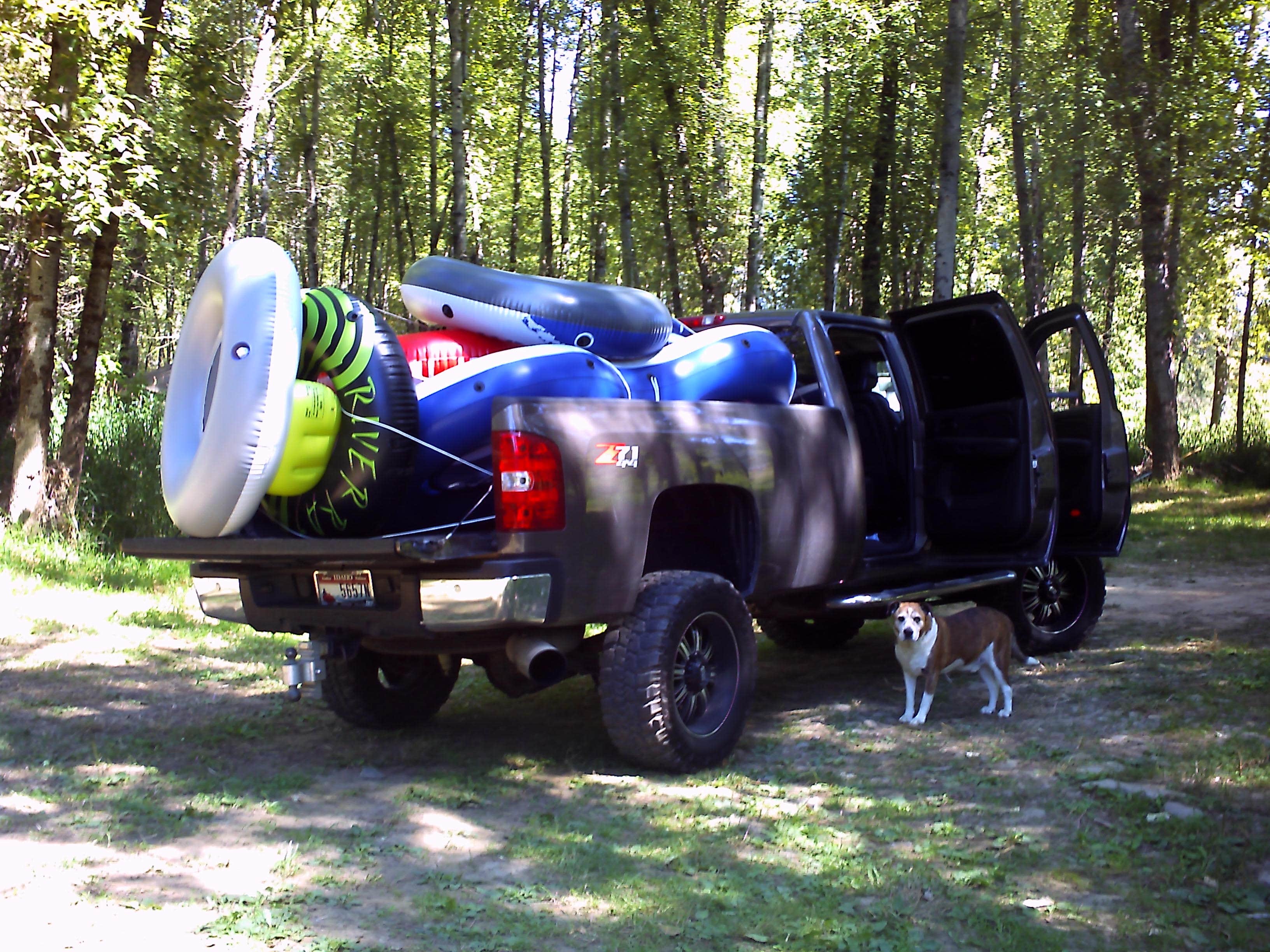 Francie M.'s photo of camping with pets at Bumblebee Campground near Wallace, ID