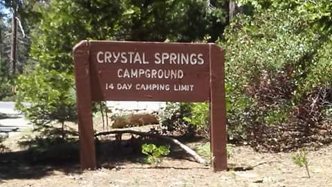 Camper submitted image from Crystal Springs Campground — Kings Canyon National Park - 3