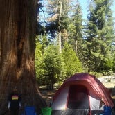 Review photo of Crystal Springs Campground — Kings Canyon National Park by Virgil O., May 3, 2018