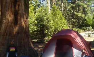 Virgil O.'s photo at Crystal Springs Campground — Kings Canyon National Park near Badger, CA