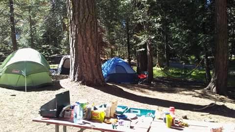 Virgil O.'s photo of tent camping at Crystal Springs Campground — Kings Canyon National Park near Independence, CA