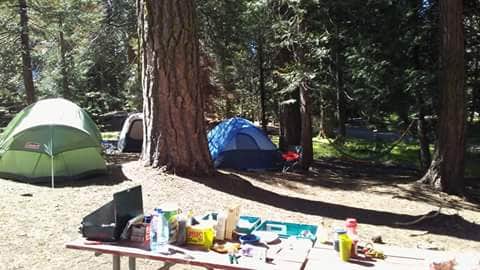 Camper submitted image from Crystal Springs Campground — Kings Canyon National Park - 5