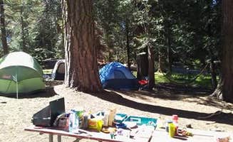 Virgil O.'s photo of tent camping at Crystal Springs Campground — Kings Canyon National Park near Kaweah, CA