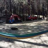 Review photo of Sequoia National Forest Belknap Campground by Virgil O., May 3, 2018