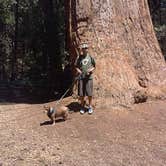 Review photo of Sequoia National Forest Belknap Campground by Virgil O., May 3, 2018