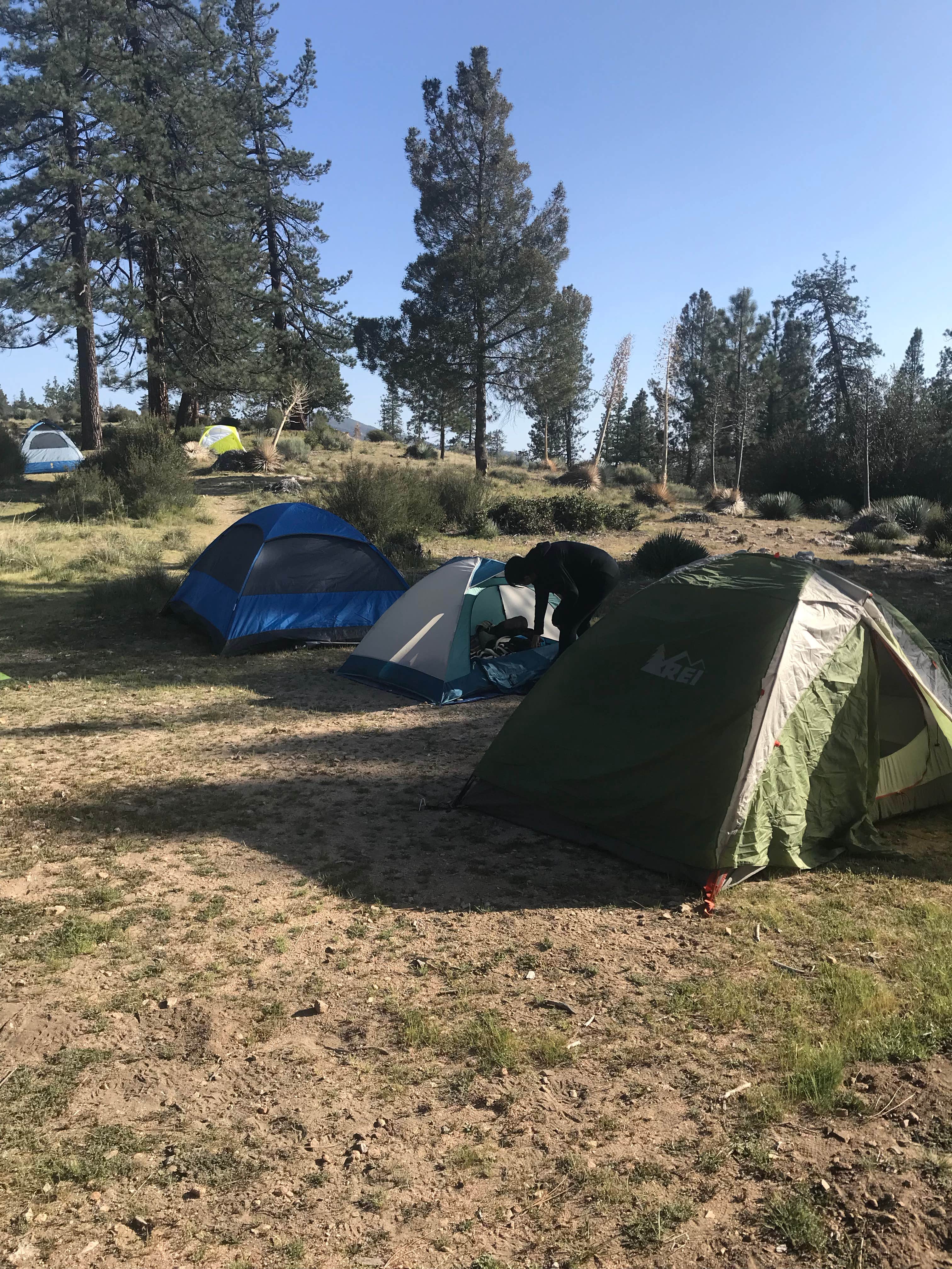Jessica C.'s photo at Angeles National Forest Meadow Group Campground near Altadena, CA