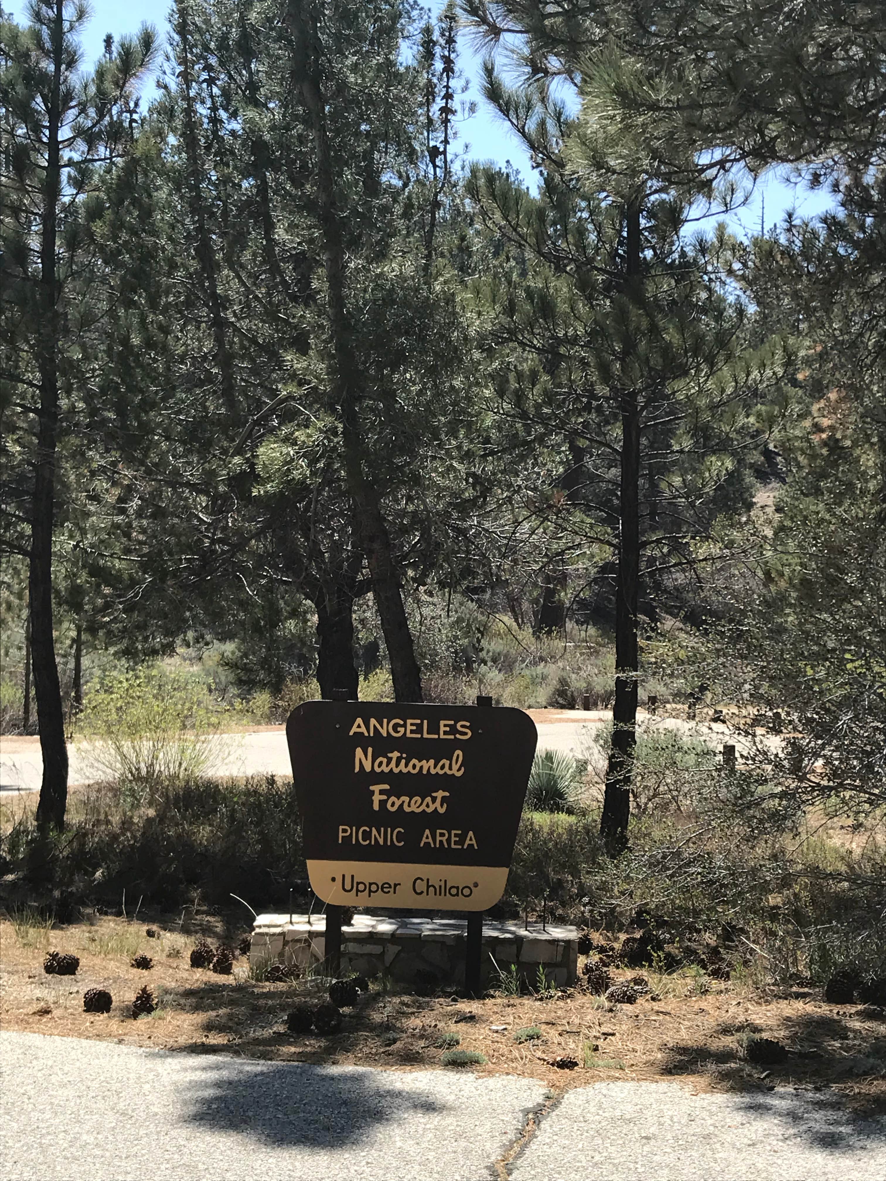 Camper-submitted photo at Angeles National Forest Meadow Group Campground near Angeles National Forest
