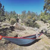 Review photo of Angeles National Forest Meadow Group Campground by Jessica C., May 3, 2018