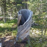 Review photo of Brainard Lake Recreation Area by Libby M., May 3, 2018