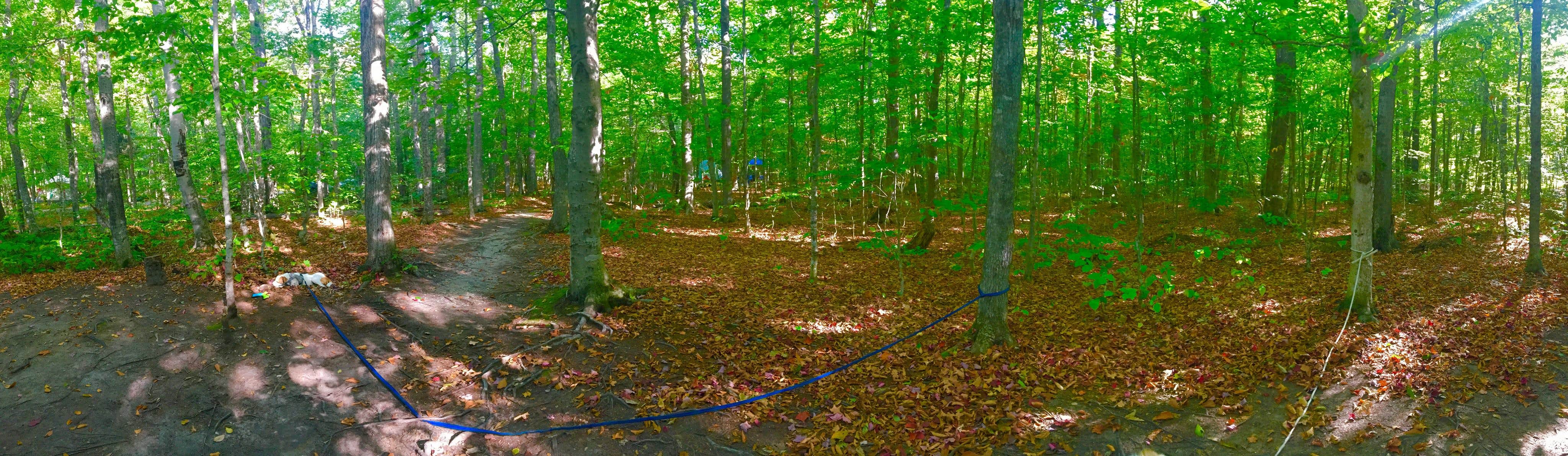 Camper-submitted photo at Dry River Campground — Crawford Notch State Park in New Hampshire