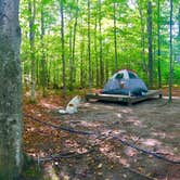 Review photo of Dry River — Crawford Notch State Park by Ellie H., May 3, 2018