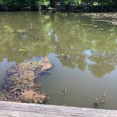 Review photo of Martin Dies, Jr. State Park Campground by Emily S., May 3, 2018