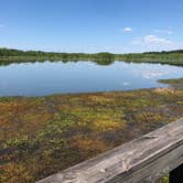 Review photo of Martin Dies, Jr. State Park Campground by Emily S., May 3, 2018