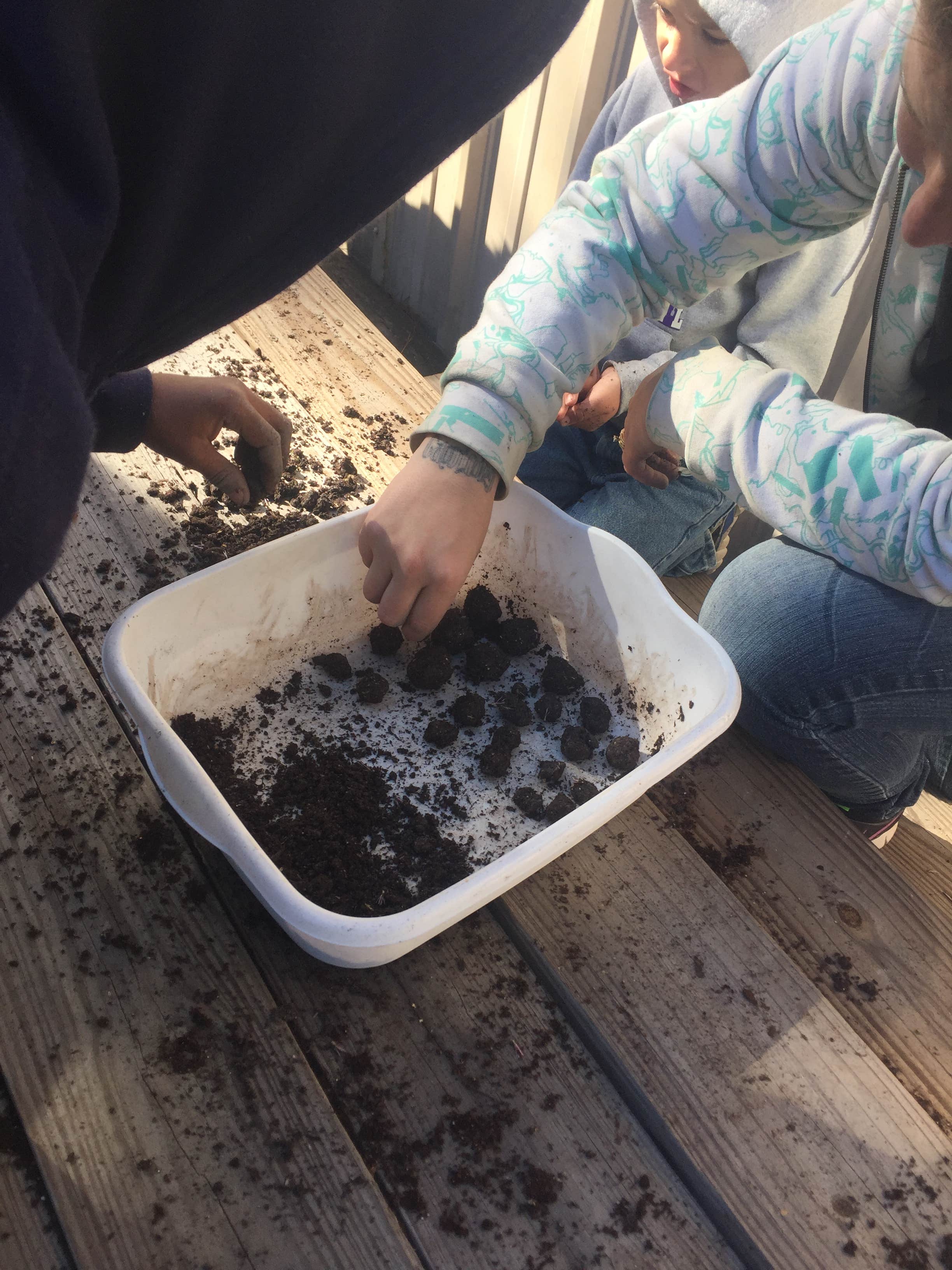 Camper-submitted photo at Village Creek State Park Campground near Steinhagen Lake