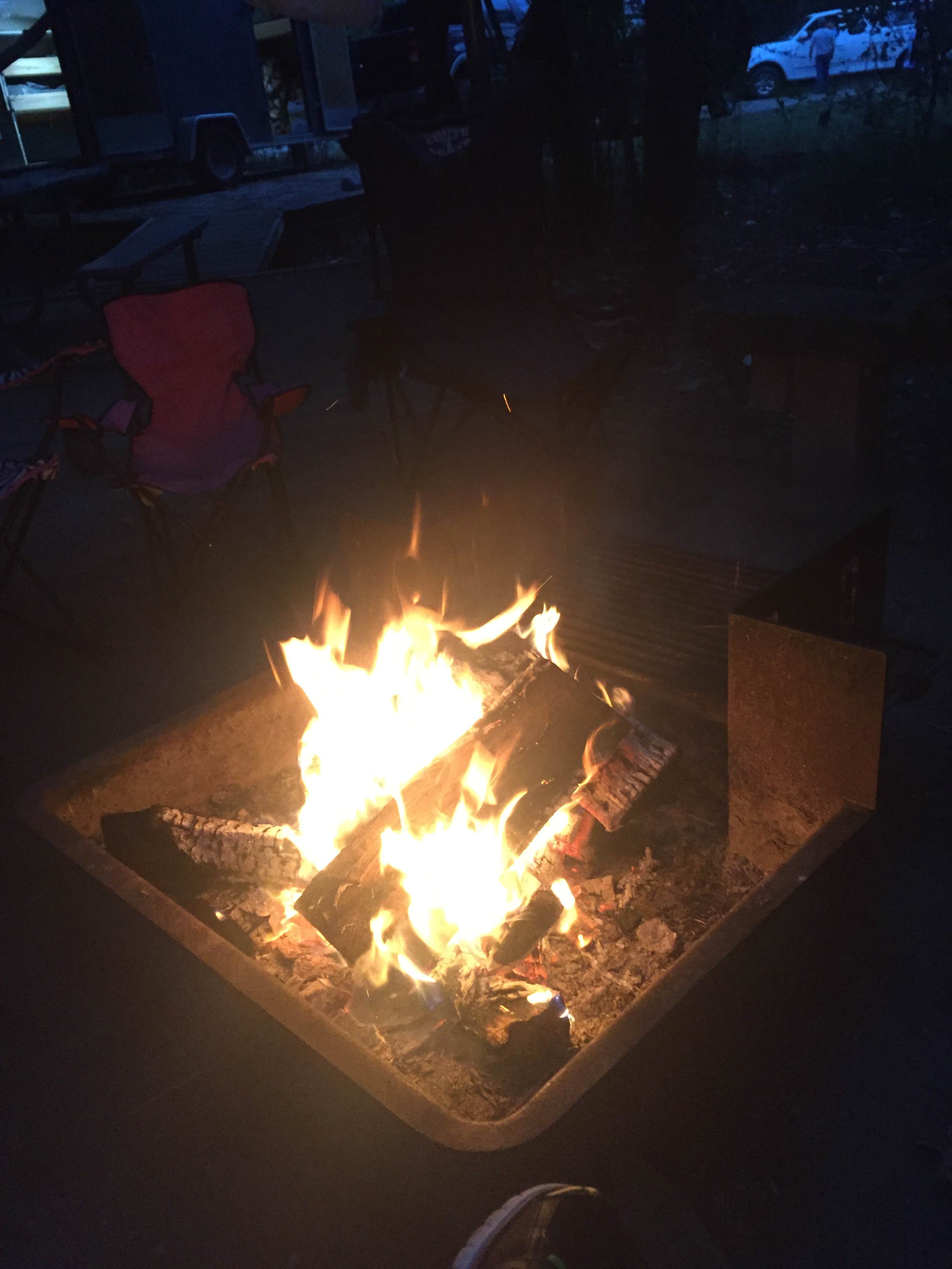 Camper-submitted photo at Village Creek State Park Campground near Steinhagen Lake