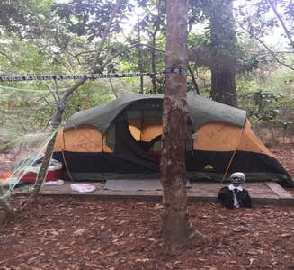 Camper-submitted photo from Village Creek State Park Campground
