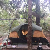 Review photo of Village Creek State Park Campground by Emily S., May 3, 2018