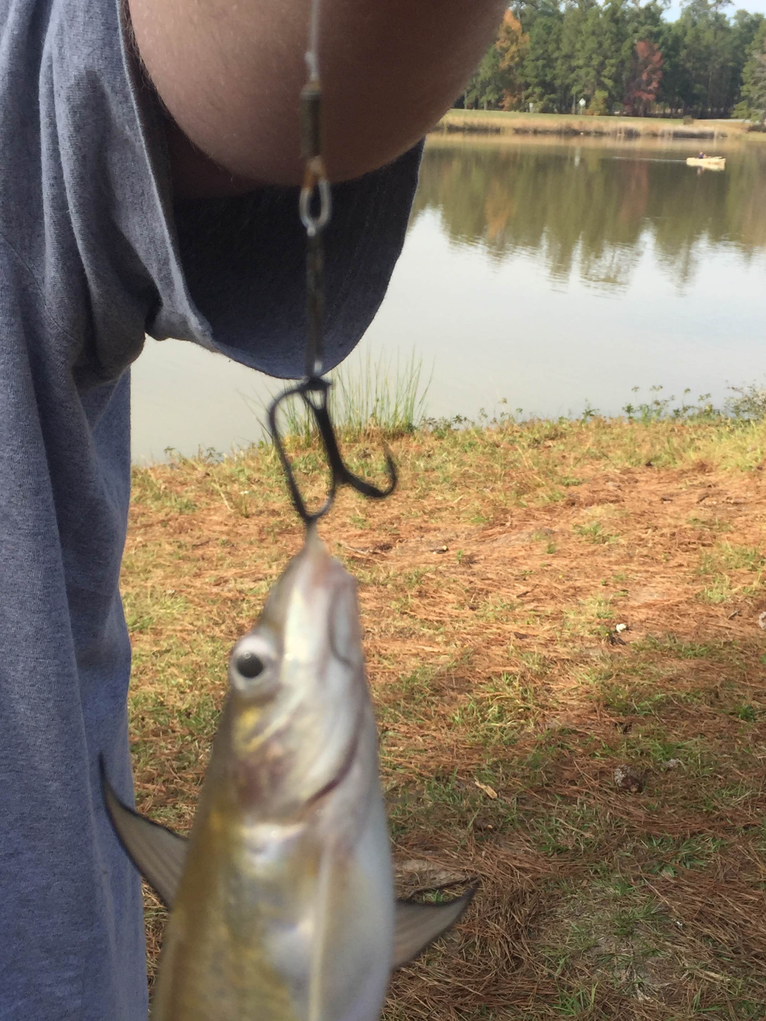 Camper-submitted photo at Tombigbee Lake - AC Indian Reservation near Dallardsville, TX