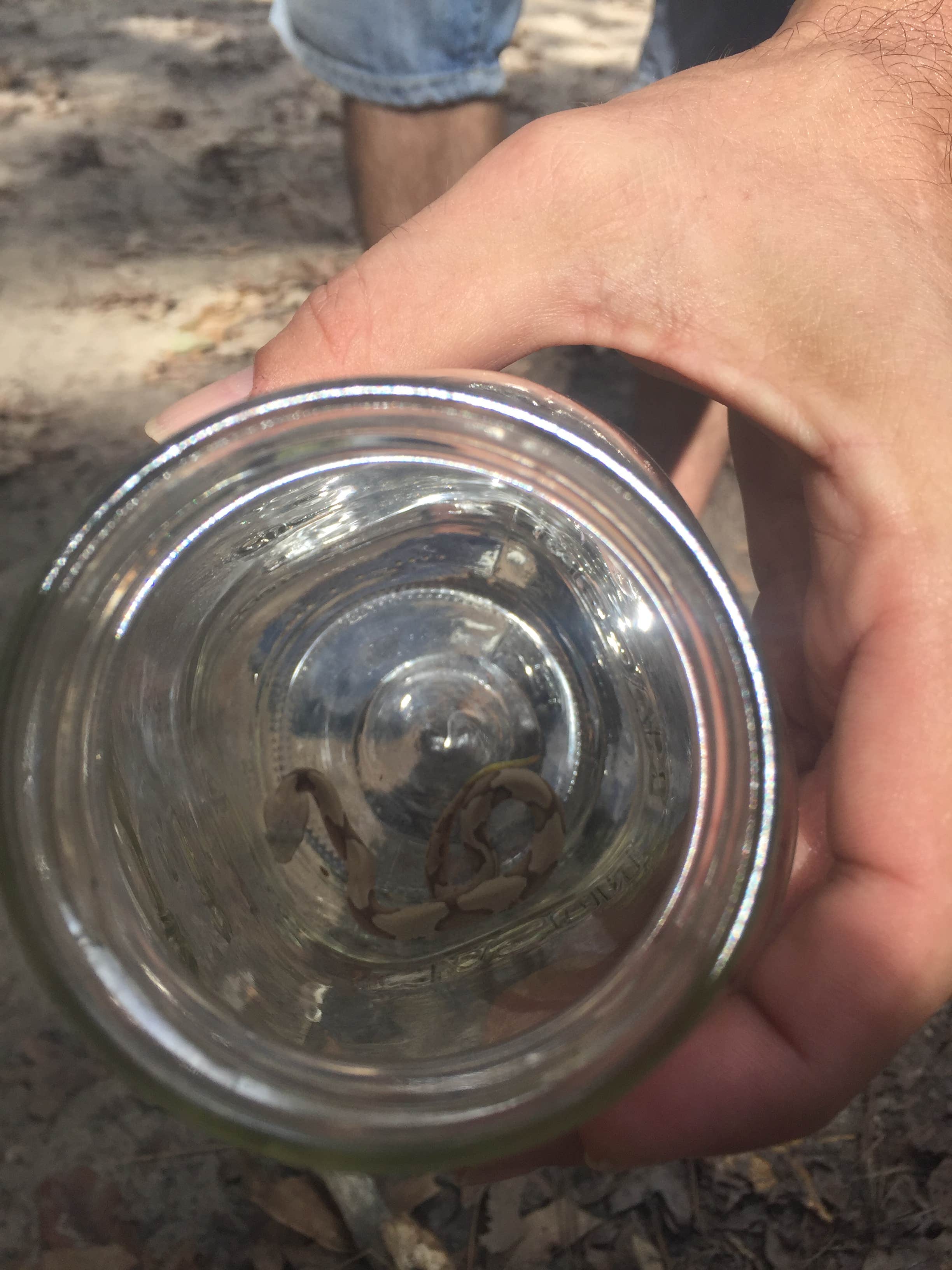 Camper-submitted photo at Lake Houston Wilderness Park near New Caney, TX