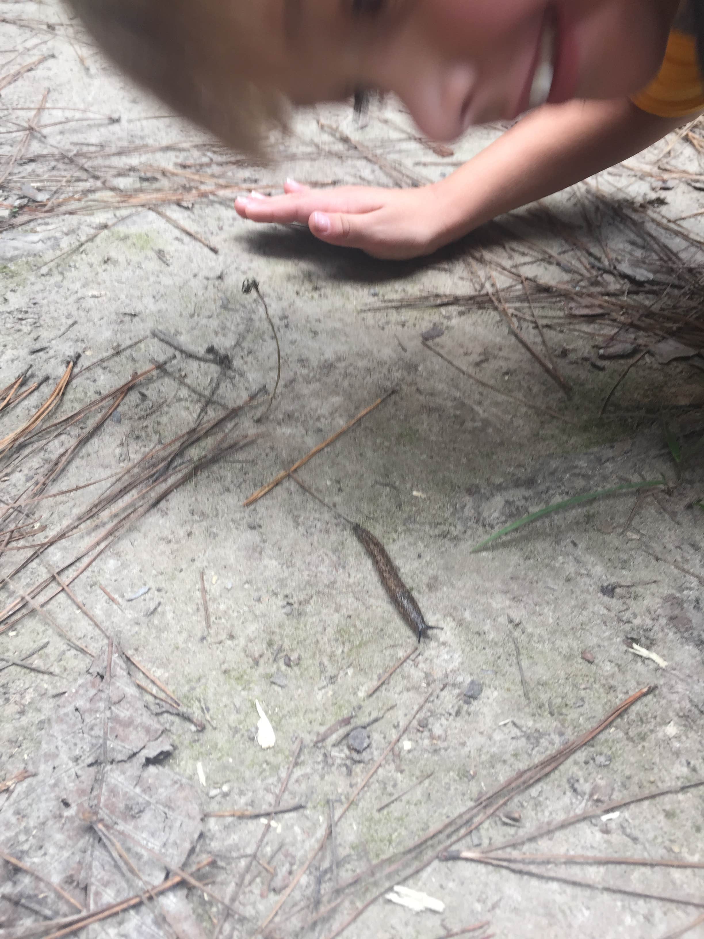 Camper-submitted photo at Lake Houston Wilderness Park near New Caney, TX