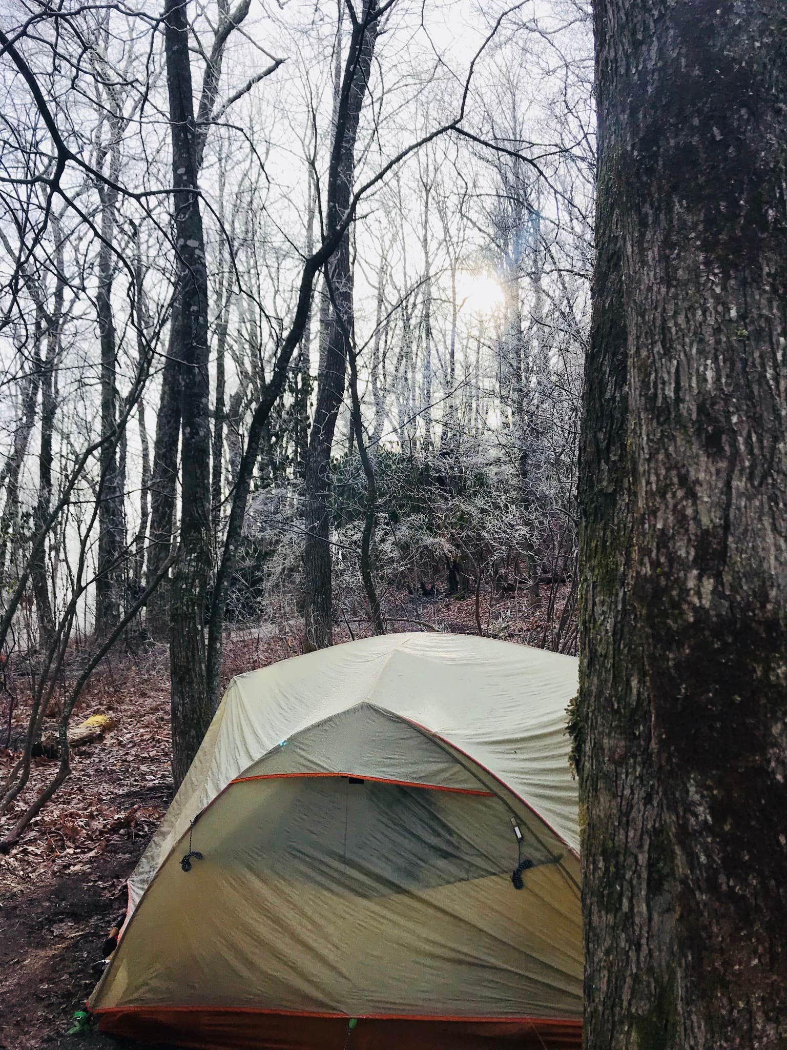 Morgan W.'s photo at Wayah Bald Shelter near Franklin, NC