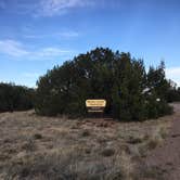 Review photo of Picket Wire Corrals by Pam G., May 3, 2018