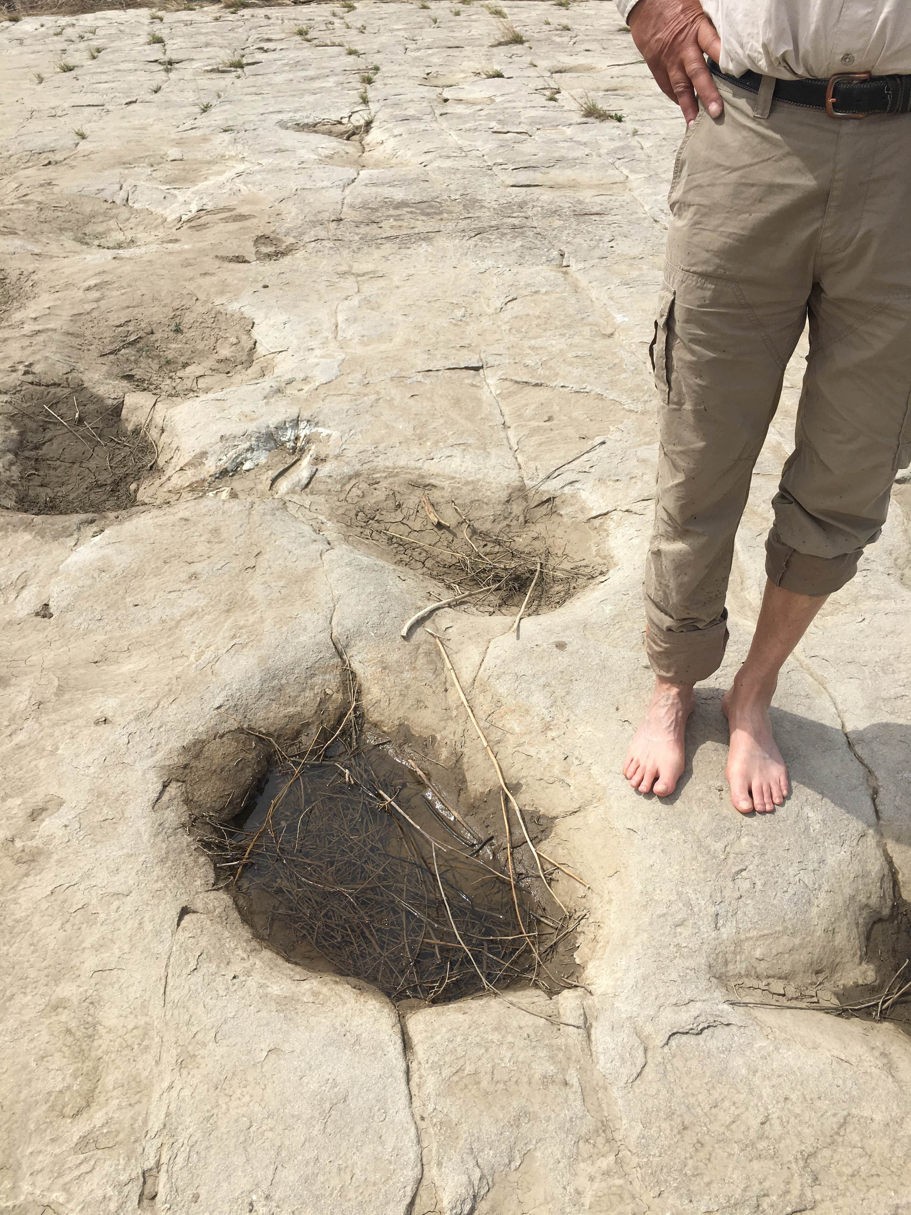 Camper-submitted photo at Picket Wire Corrals near Swink, CO