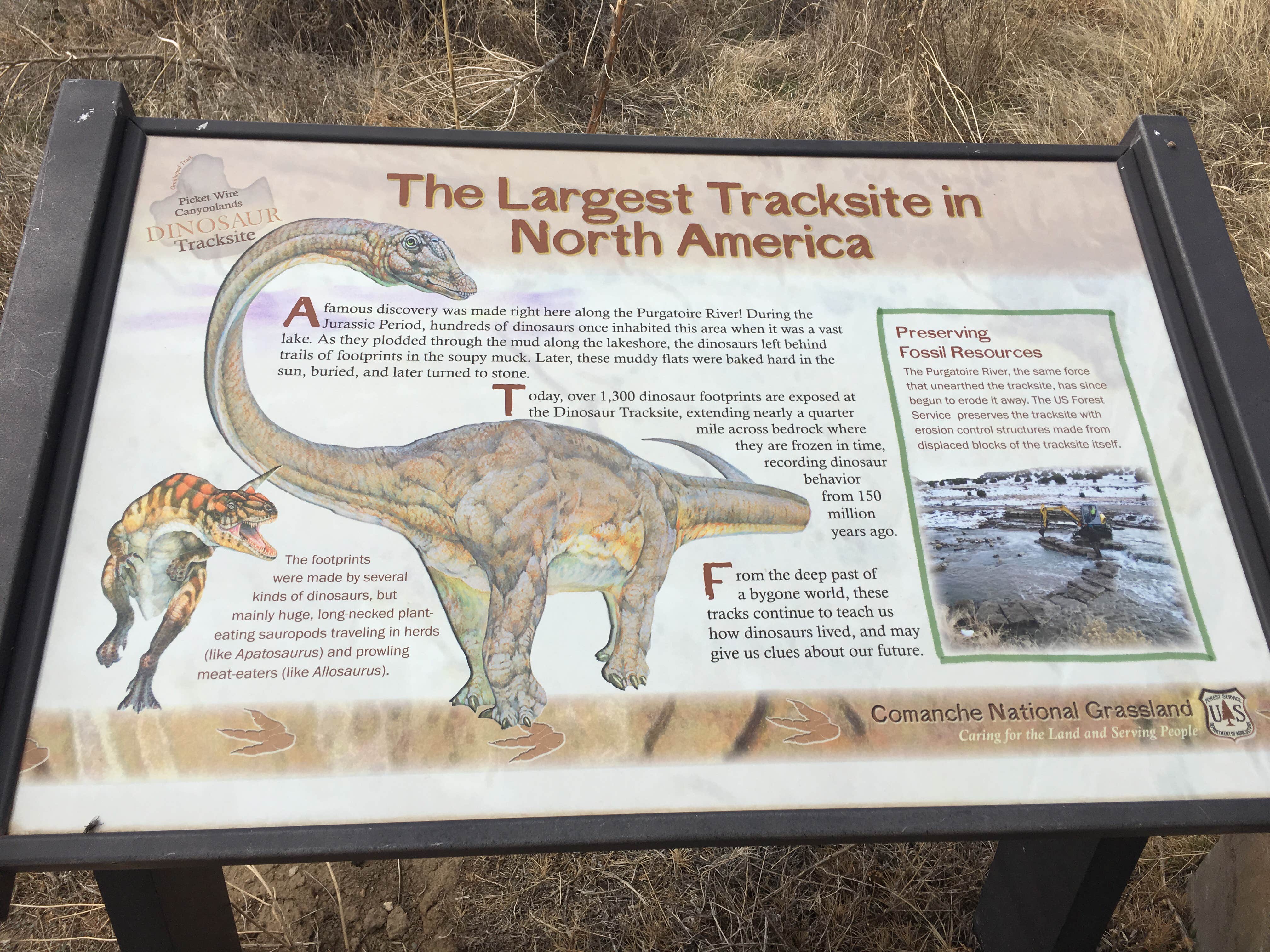 Camper-submitted photo at Picket Wire Corrals near Swink, CO