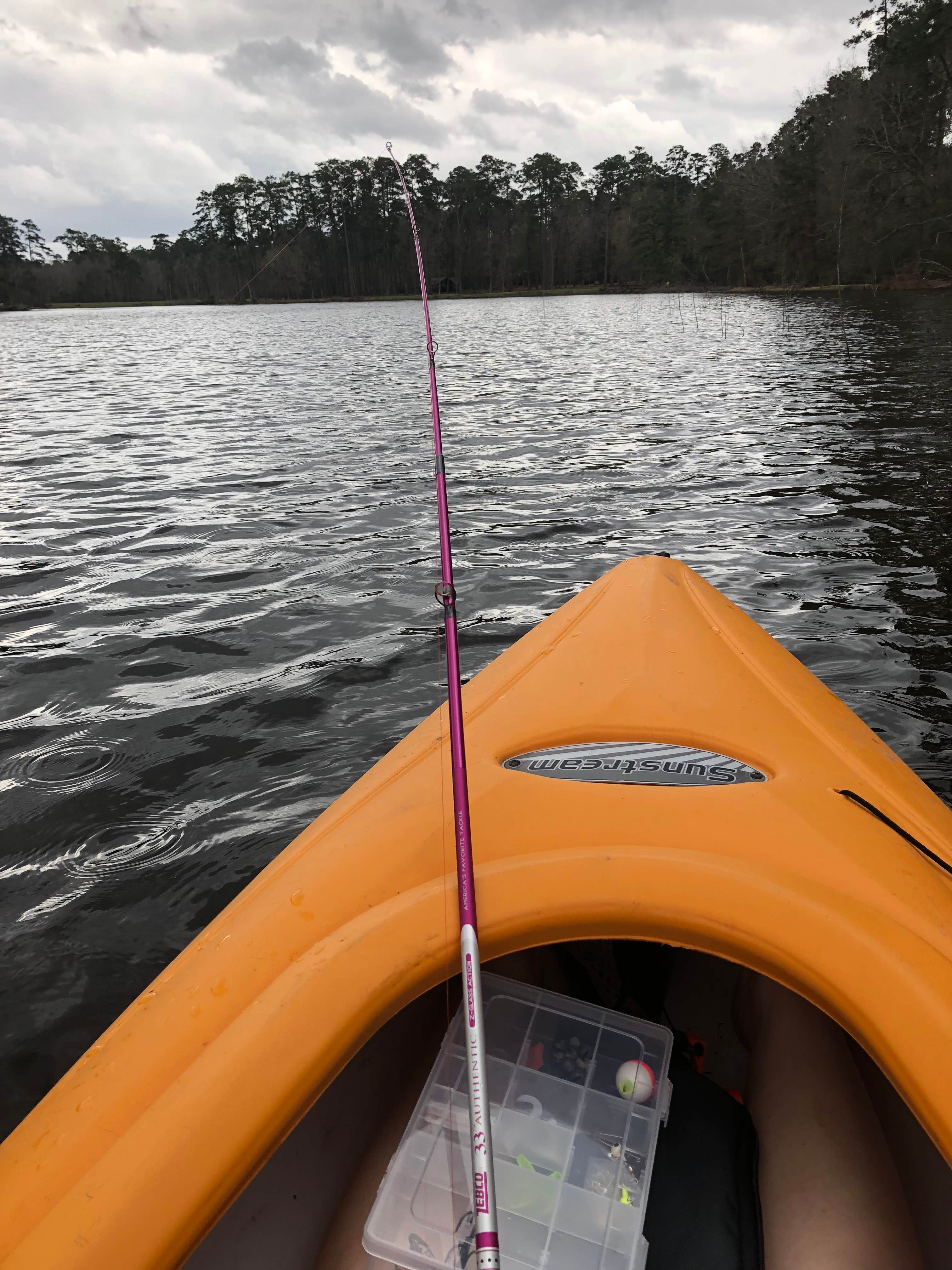 Camper submitted image from Double Lake Recreation Area - 5